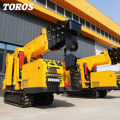 Buy 1 Ton Spider Crawler Crane Tracked Mini Crane High Performance online manufacture